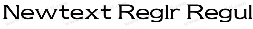 Newtext Reglr Regular字体转换